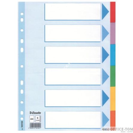 Przekładki Kartonowe Esselte z kartą opisową A4/6