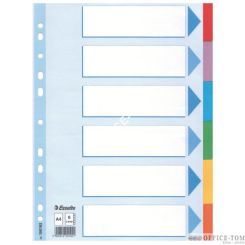 Przekładki Kartonowe Esselte z kartą opisową A4/6