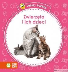 Książka Zwierzęta i ich dzieci Zielona Sowa