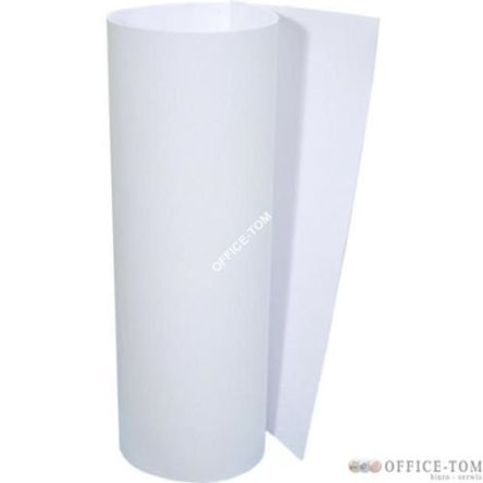 Brystol B1 biały (20)   Kreska