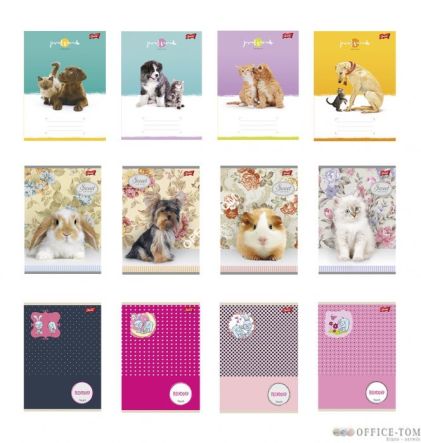 Zeszyt okładka laminowana A5, 16k., kratka mix dziewczęcy Unipap