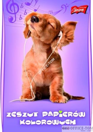 Zeszyt papierów kolorowych nabłyszczany A5, 10k. Unipap