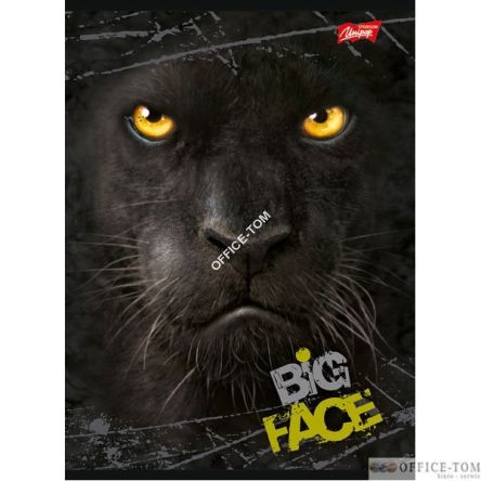 Pióro kulkowe + 2 naboje (blister) HOT WHEELS