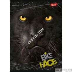 Pióro kulkowe + 2 naboje (blister) HOT WHEELS