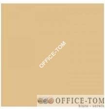 Karton kolorowy 170 g/m2 A1 chamois HAPPY COLOR
