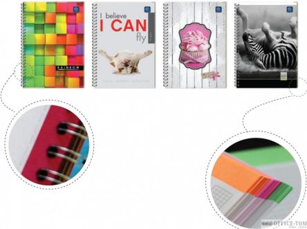 Kołozeszyt B5 160 kratka z kolorowymi marginesami INTERDRUK