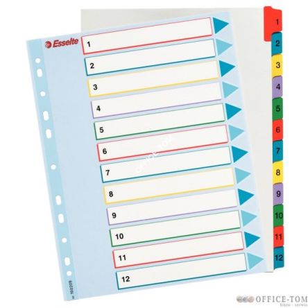 Przekładki karton. Mylar A4 Maxi z lamin. kartą do wielokrotnego opisywania, 1-12 ESSELTE