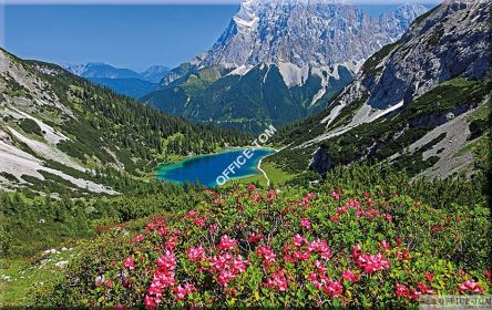 Kalendarz trójdzielny z główką, kremowe tło T4 JEZIORO Telegraph