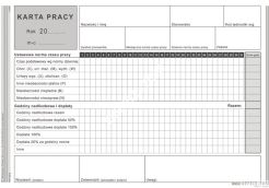 Karta Pracy MICHALCZYK I PROKOP A5 40 kartek