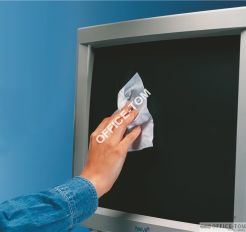 Chusteczki wilgotne i suche do czyszczenia ekranów ESSELTE DATALINE (po 50)