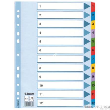 Przekładki kartonowe Mylar A4 ESSELTE, biały 1-12