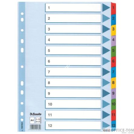 Przekładki kartonowe Mylar A4 ESSELTE, biały 1-12