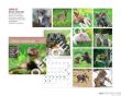 Kalendarz ścienny 2017 Dzieci Zwierząt LP53-17 HELMA 30x30 - 15