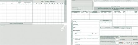 Indywidualne karty wynagrodzeń pracowników MICHALCZYK I PROKOP A4 20 kartek