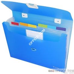 Teczka Z Rączką A4 Z Przegrodami Omega Ex4318 Zielony Focus PANTA PLAST