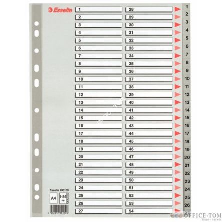Przekładki plastikowe szare PP numeryczne A4 ESSELTE, 1-54