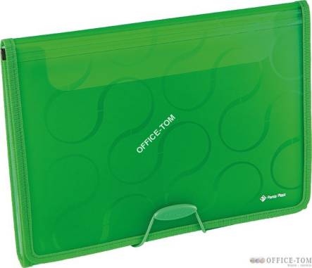 Teczka A4 6-przegródek OMEGA zielo EX4315 0410-0041-04 Panta Plas