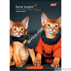 Zeszyt okładka laminowana A5 32k kratka  mix ST. MAJEWSKI / DO WYCZERPANIA ZAPASÓW, PROSIMY ZAMAWIAĆ Z MIXÓW DZIEWCZĘCY I CHŁOPIĘCY / wpisz w wyszukiwarkę, żeby znaleźć odpowiedni kod