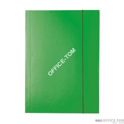 Teczka lakierowana z gumką, A4, zielony Esselte