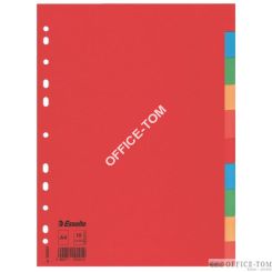 Przekładki ESSELTE kolorowy karton bez karty opisowej A4, 10 kart