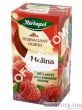 Herbata HERBAPOL HERBACIANY OGRÓD MALINA FIX 20t - 2