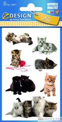 Naklejki AVERY ZWECKFORM Z-Design Kids Koty