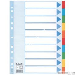 Przekładki, kolorowy karton z kartą opisową A4, ESSELTE, 10 kart