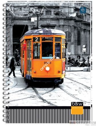 Kołozeszyt A5 120 kratka INTERDRUK