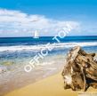 Kalendarz ścienny 2017 Tropikalna plaża  HELMA 30x30 LP63-17 - 2