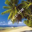Kalendarz ścienny 2017 Tropikalna plaża  HELMA 30x30 LP63-17 - 4