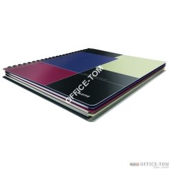 Kołonotatnik Project Book Executive A4 PP, w kratkę 44670000 Leitz