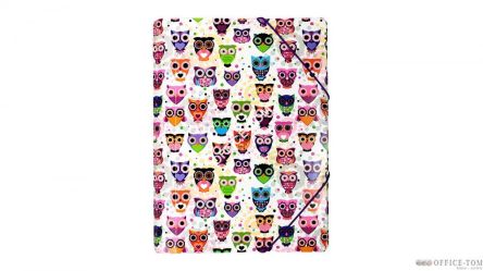 Teczka z gumką PP z nadrukiem SÓWKI BIURFOL TGN-01-01