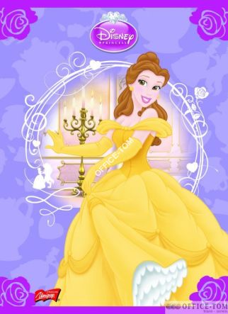 Zeszyt okładka laminowana A5, 16k., linia dwukolorowa, DISNEY KSIĘŻNICZKI ST.MAJEWSKI