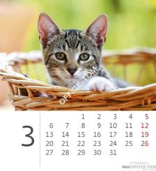 Kalendarz ścienny 2017 Mini Kittens S88-17 HELMA