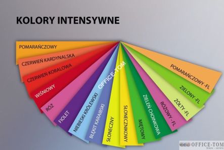 Papier xero kolorowy A4 ZIELEŃ CHOINKOWA 210G karton- 4 ryzy