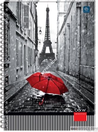 Kołobrulion A4 160 kratka z kolorowymi marginesami INTERDRUK