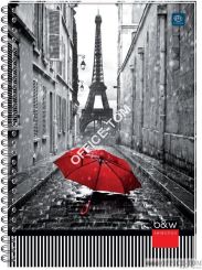 Kołobrulion A4 160 kratka z kolorowymi marginesami INTERDRUK