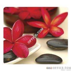 Podkładka Earth Series, Spa FELLOWES