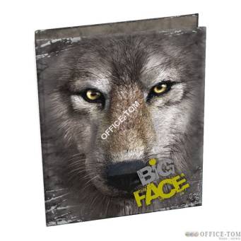 Segregator A4, THE MOUNTAIN BIG FACE