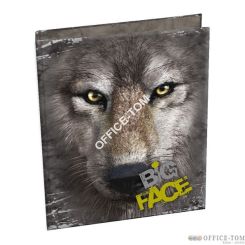 Segregator A4, THE MOUNTAIN BIG FACE