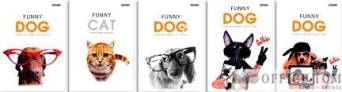 Zeszyt A5 32K krata laminowany Funny Animals