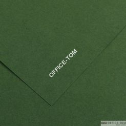 Karton IRIS 70x100 240G 25ark. 31-ciemnozielony 200040470 CANSON