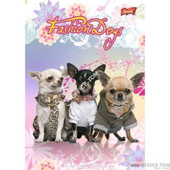 Zeszyt okładka laminowana A5, 16k., krata Fashion Dogs ST.MAJEWSKI