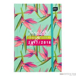 Kalendarz szkolny B6 INTERDRUK 352