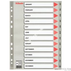 Przekładki plastikowe szare PP numeryczne A4 ESSELTE, 12 miesięcy