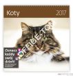 Kalendarz ścienny 2017 Koty 30x30 LP51-17 HELMA - 14