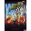Zeszyt okładka laminowana A5, 60k., krata Wild Life ST.MAJEWSKI - 7