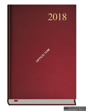 Terminarz A5 asystent bordo 1 dzień /1-nej stronie T-237C-B Michalczyk i Prokop