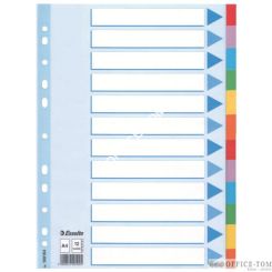 Przekładki, kolorowy karton z kartą opisową A4, ESSELTE, 12 kart