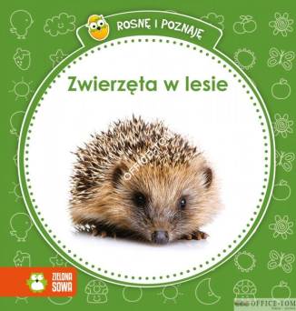 Książka Zwierzęta w lesie Zielona Sowa
